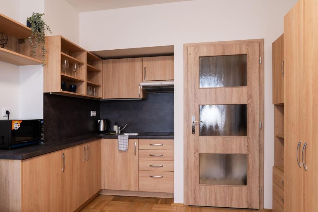 Studio Apartment In Brno-Center Экстерьер фото